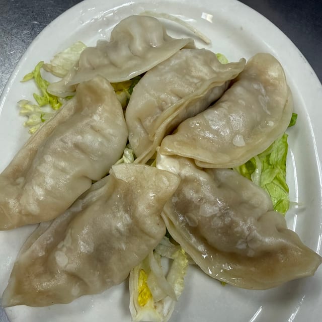 Fried or Steamed Dumpling.